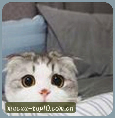 小丽